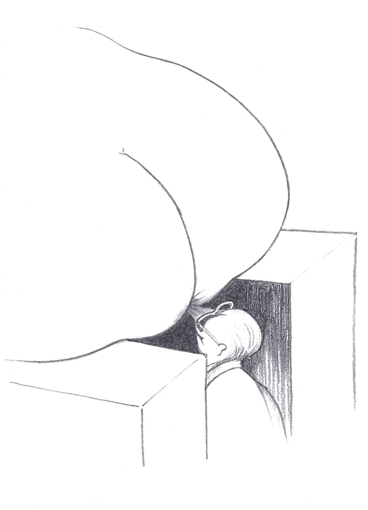 [Tomi Ungerer] Erotoscope [english][german][french] [Regdul]