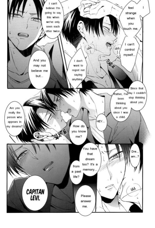 (Dai 4 Kai Hekigai Chousa Haku) [UNAP! (Maine)] Control (Shingeki no Kyojin)