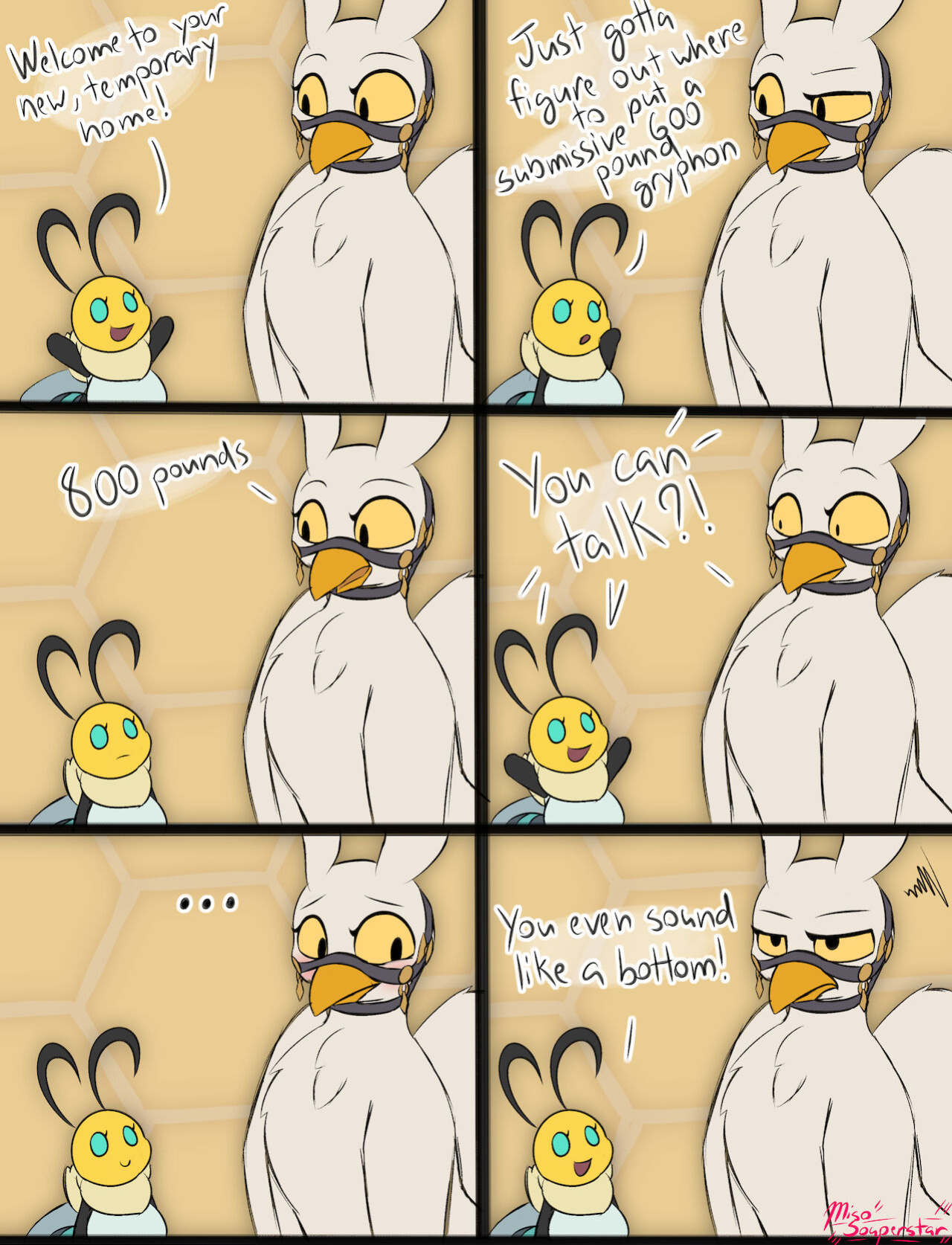 Griffon Boi Zephryn (Misosouperstar)