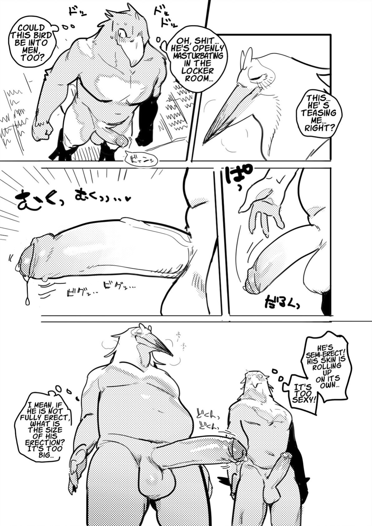 Pelican and White-tailed Eagle[Uncensored]