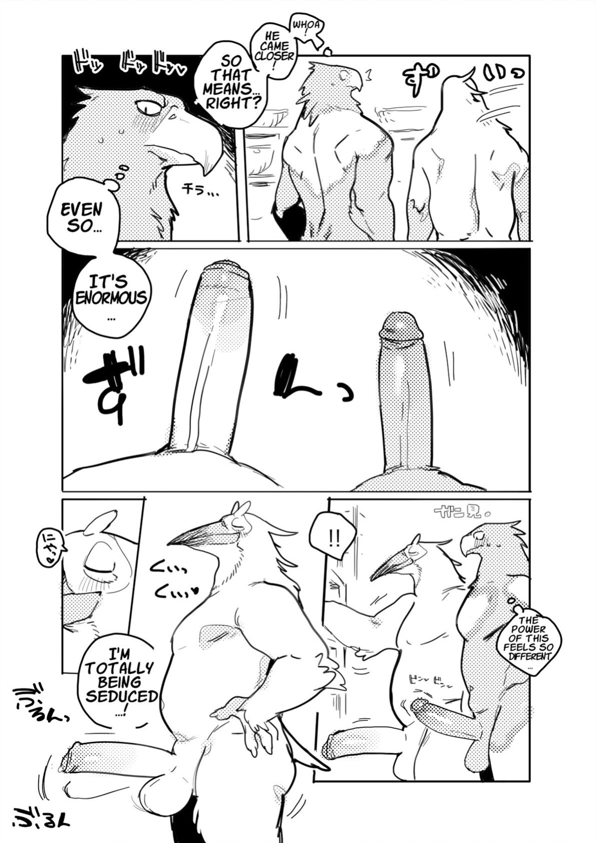 Pelican and White-tailed Eagle[Uncensored]