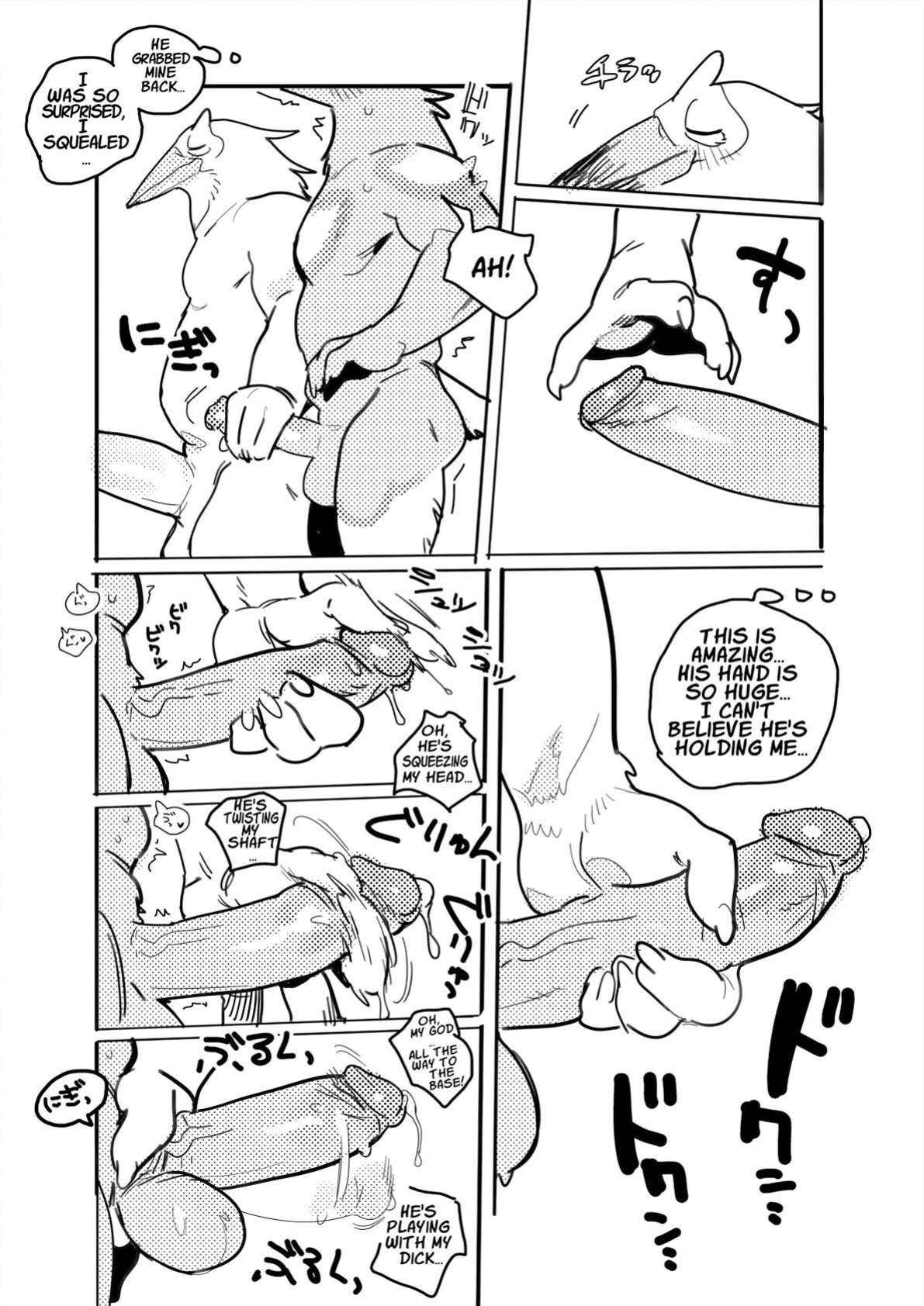 Pelican and White-tailed Eagle[Uncensored]
