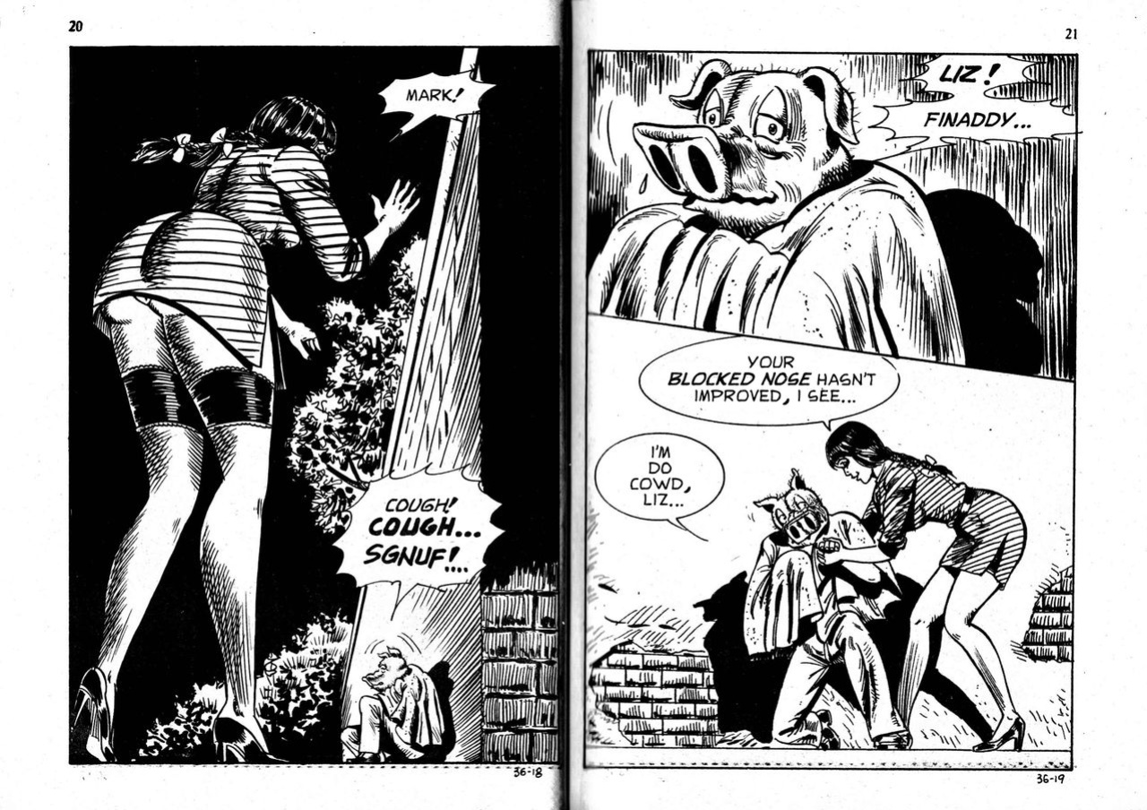 PIG #36 "WHAT GOES AROUND" - ENGLISH