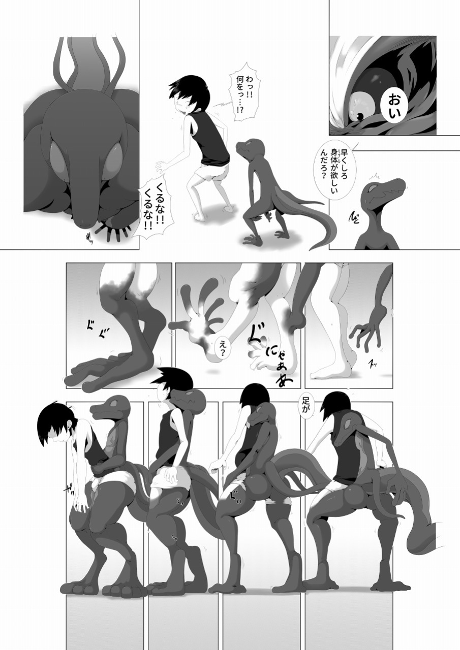 Transformations Expansions