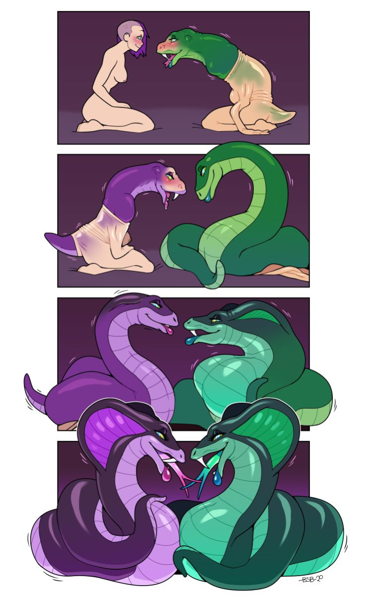 Transformations Expansions