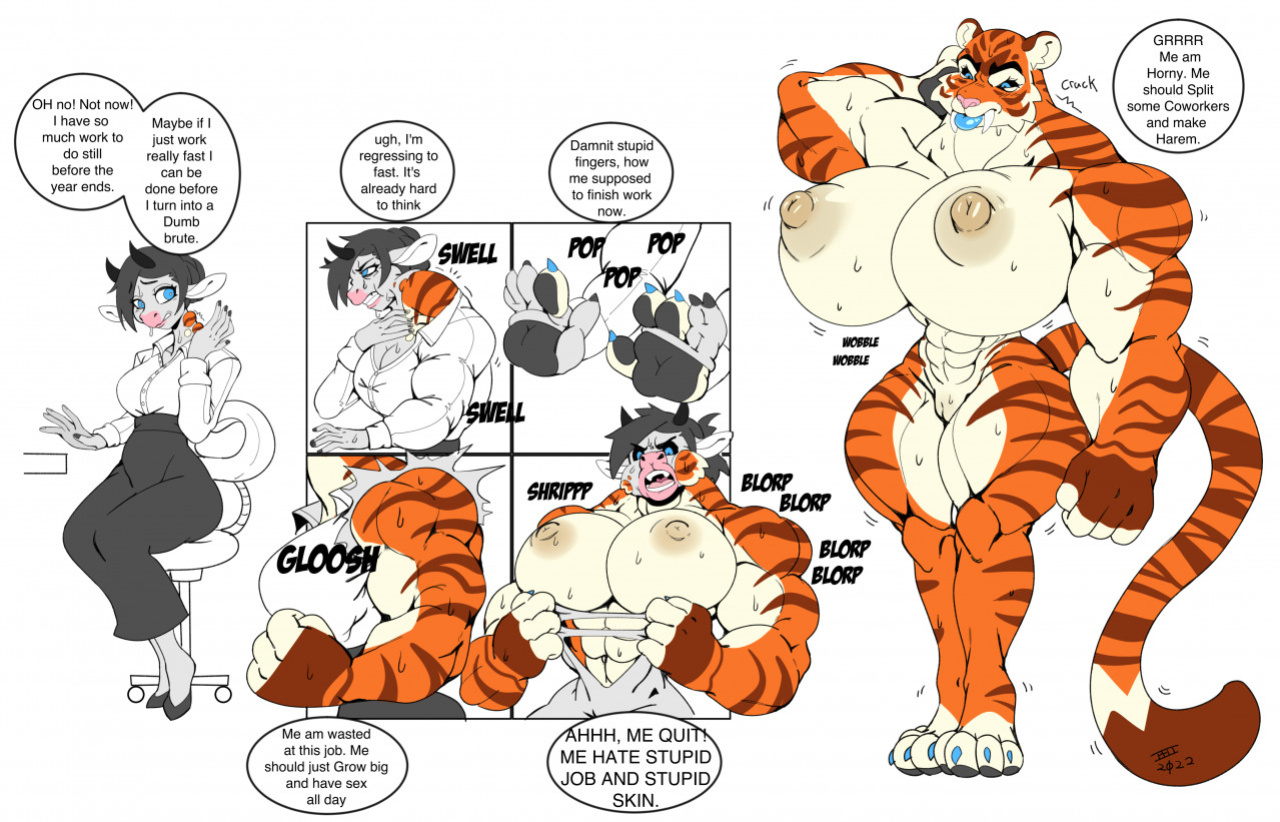 Transformations Expansions