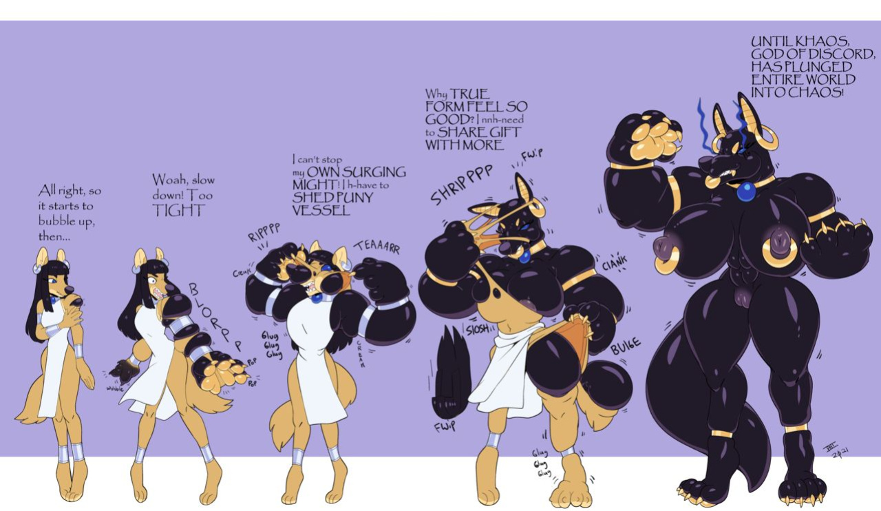 Transformations Expansions
