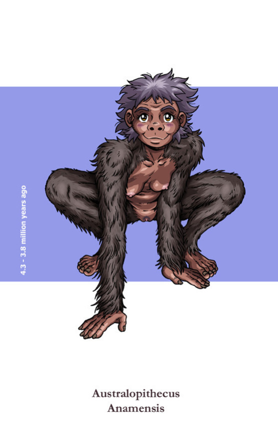 [Madoc] Indecent Descent - Viva La Evolucion! (Updated 15/06/2022)