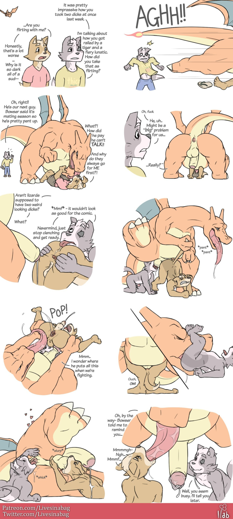 Wolf Gets Smashed + Incineroar Works