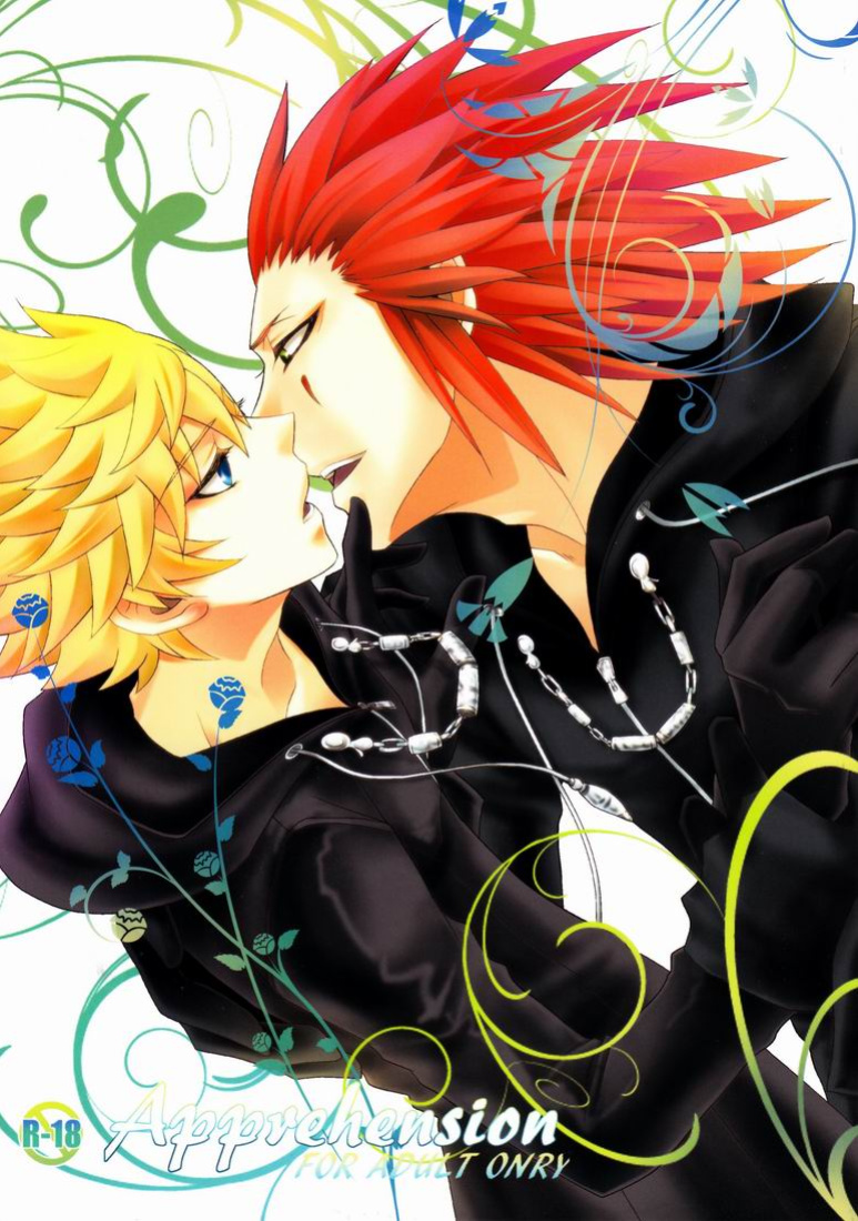 (C78) [CUBE (hana)] Apprehension (Kingdom Hearts) [arix]