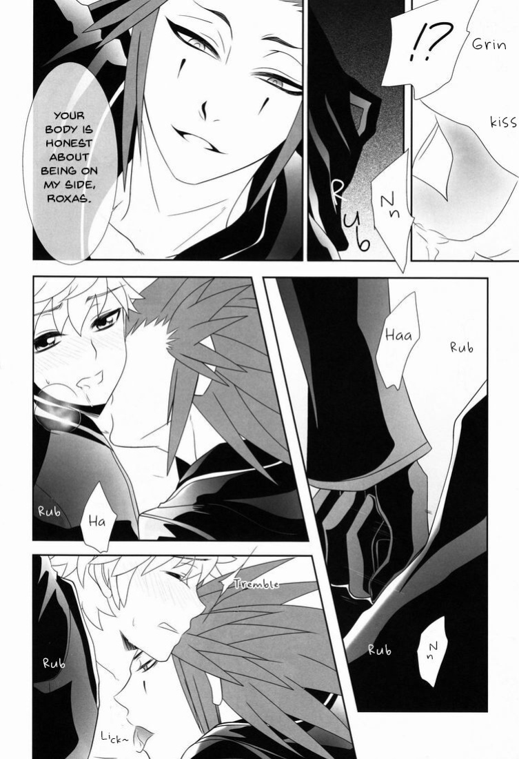 (C78) [CUBE (hana)] Apprehension (Kingdom Hearts) [arix]