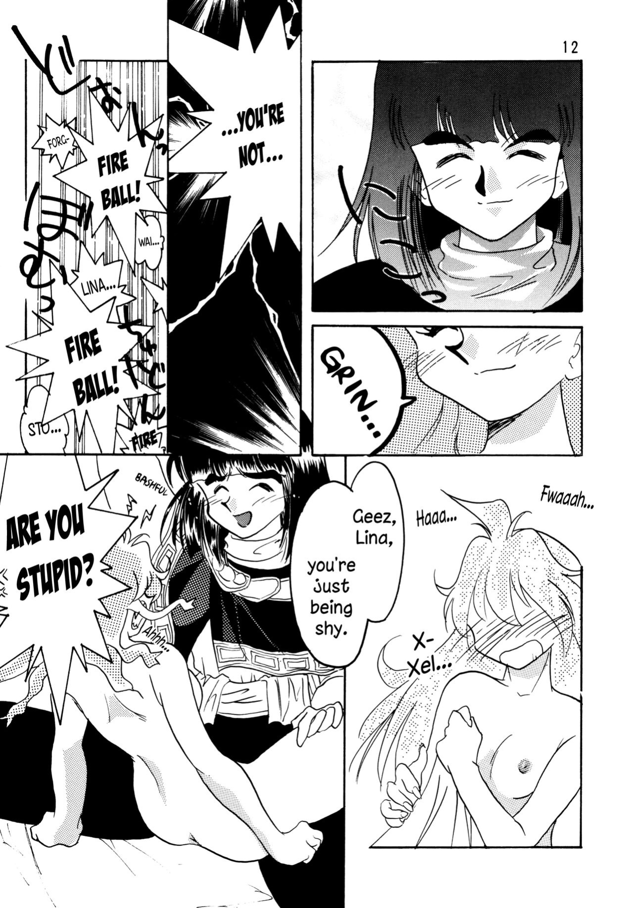 [Ginmomodou (Mita Satomi)] SLAYERS ADULT 5 (Slayers) [EHCOVE]