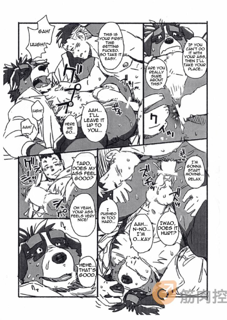 (C85) [Dragon Heart (Gamma)] Bernese Bernese