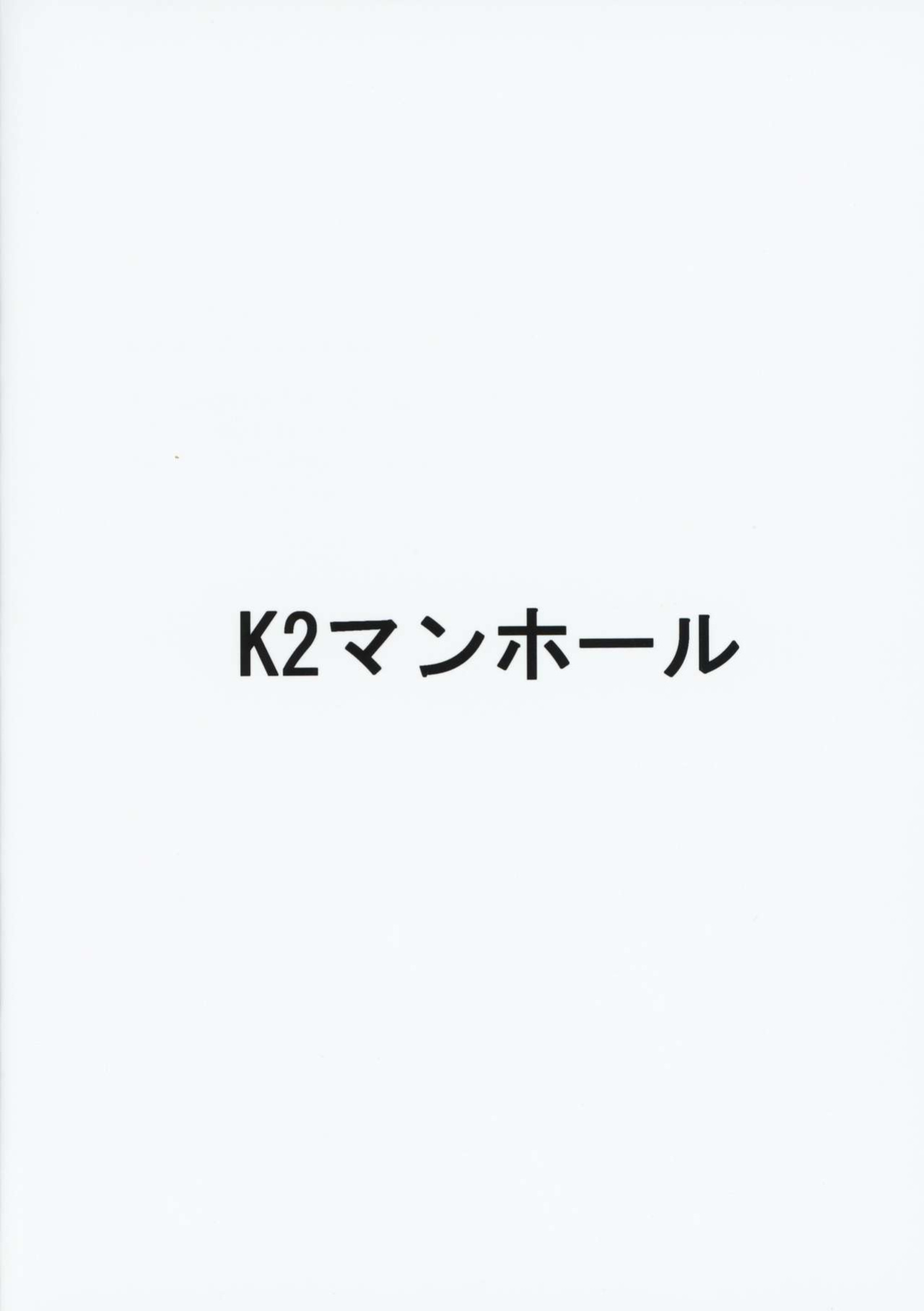 (C95) [K2 Manhole (P)] AssAssIN+M (Fate/Grand Order) [MegaFagget]