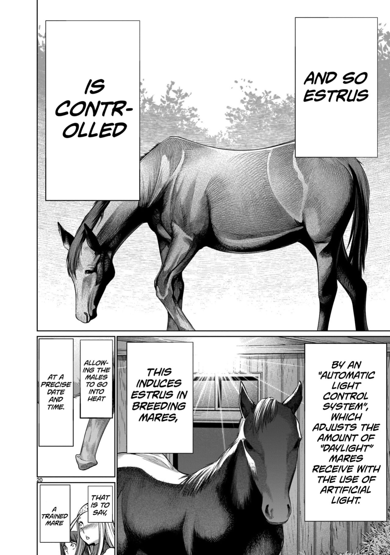 [Wild Heroes] (Sumita Kazuasa, Shinya Murata) Isn't It Too Much? Inaba-san/Hoshi Gari Sugidesho? Inaba-san chapter 12 [Roadwarior2]