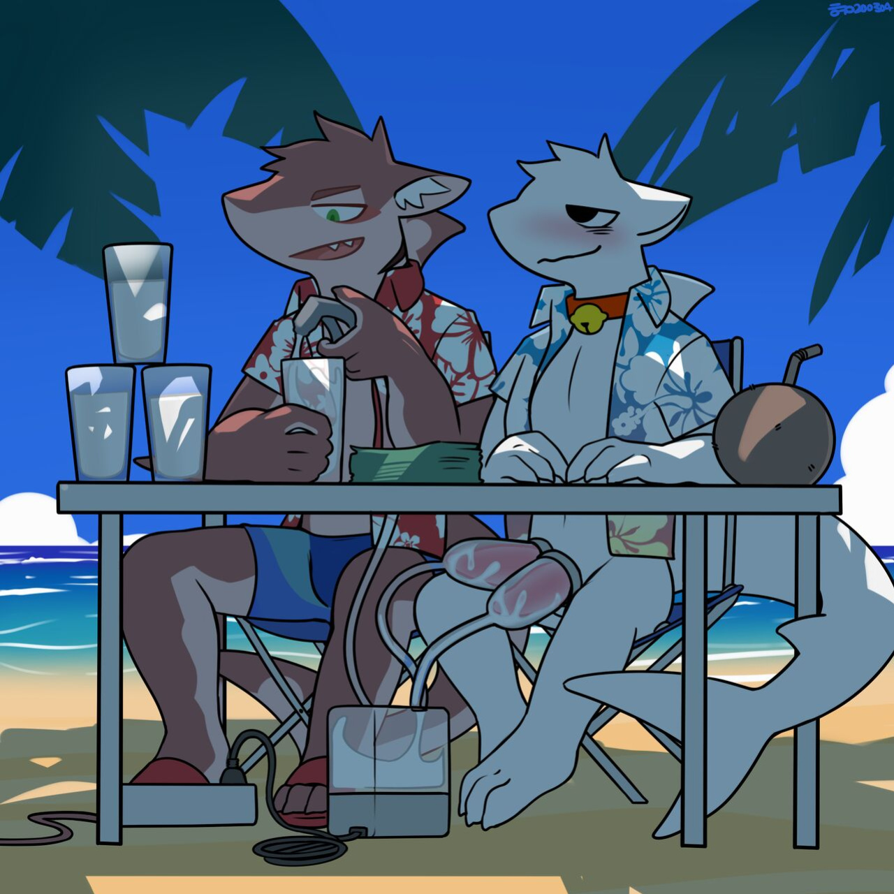 [Hacony/Yewonlee1999] CocoShark