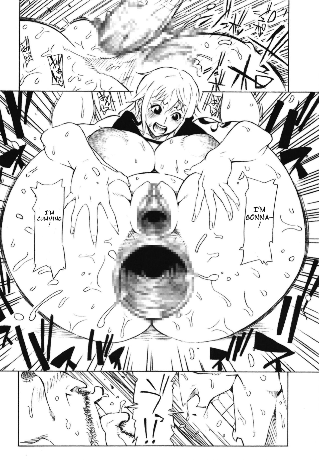 (COMIC1☆15) [Kocho Kocho Koukou (Bonten)] P.O.M (POM Soushuuhen) (One Piece)