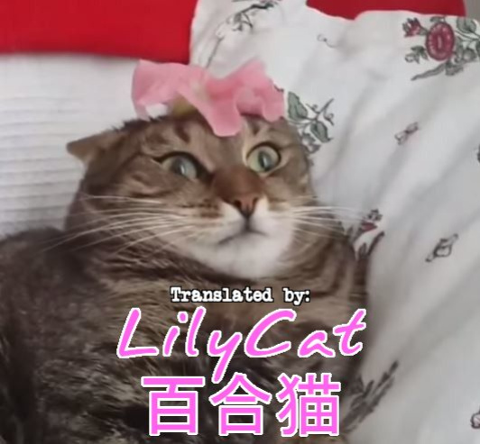 [Fumotonoya (Fumotono Mikoto)] Me ga Sametara Kemomimi Shoujo ni Natteita Ohanashi | A Story Where I Had Become a Girl With Animal Ears When I Opened My Eyes [LilyCatScans]