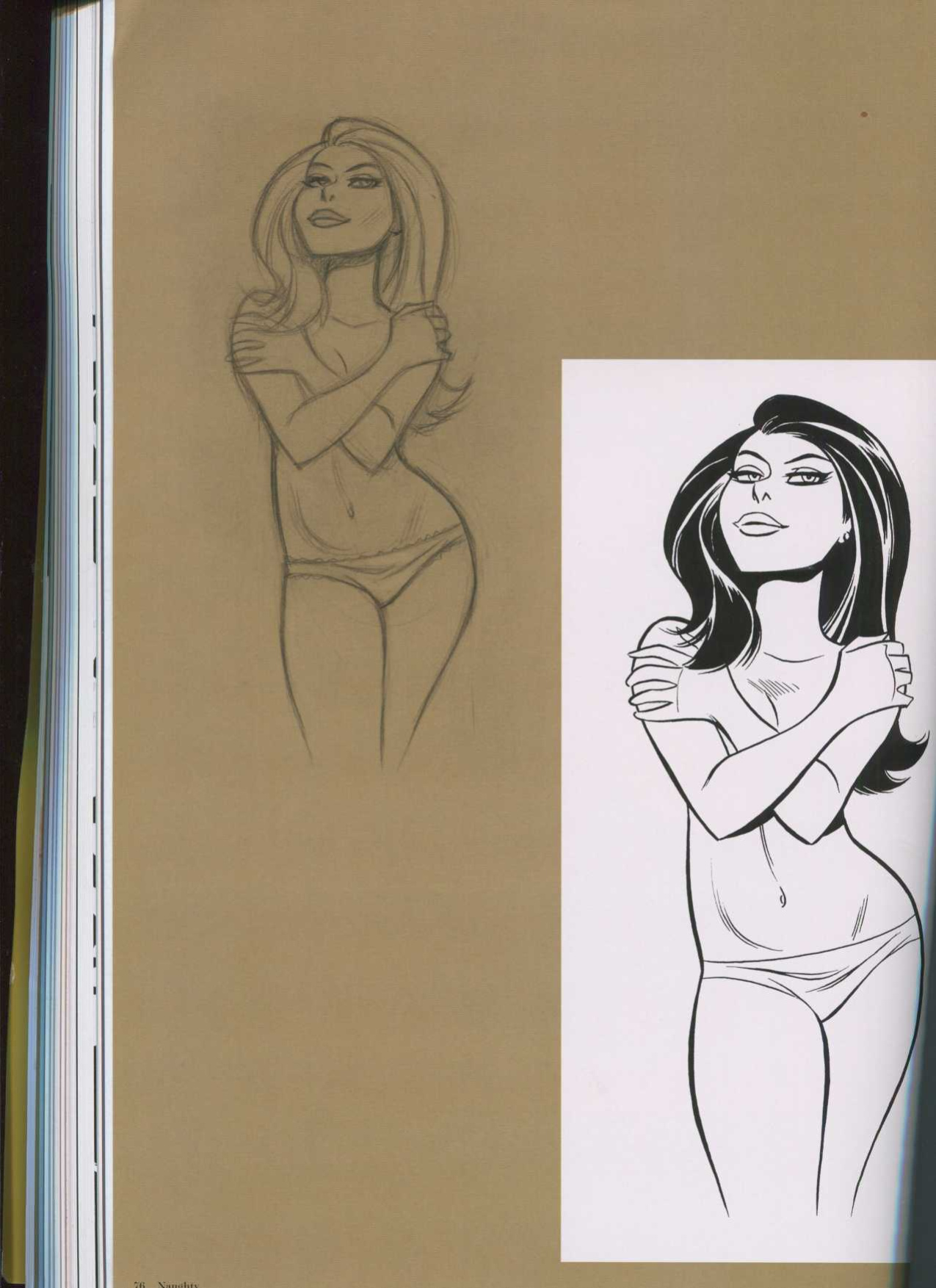 THe Good Girl Art of Bruce TIMM Naughty and nice
