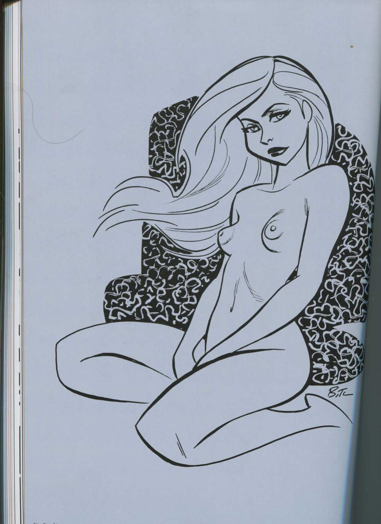 THe Good Girl Art of Bruce TIMM Naughty and nice