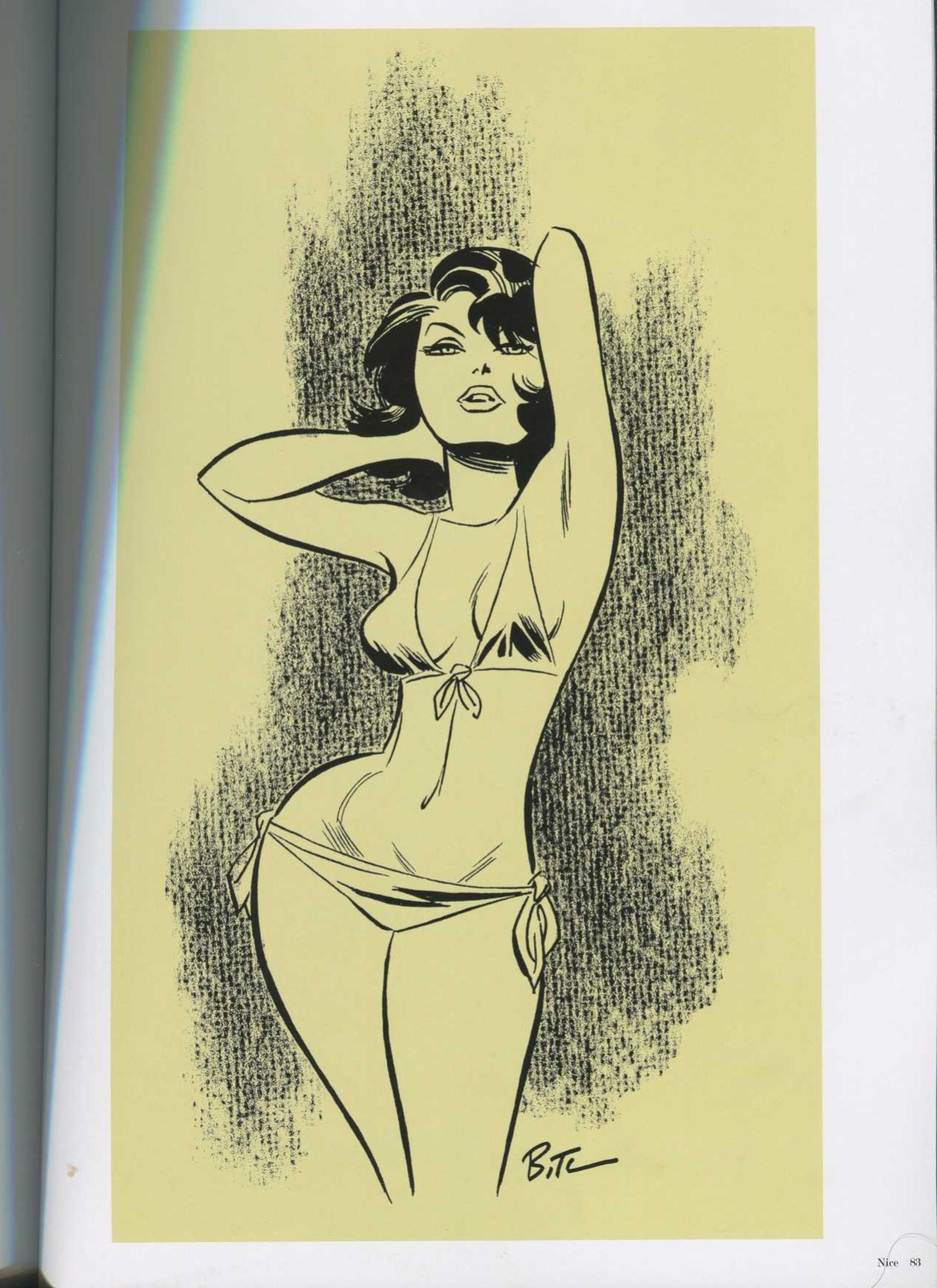 THe Good Girl Art of Bruce TIMM Naughty and nice