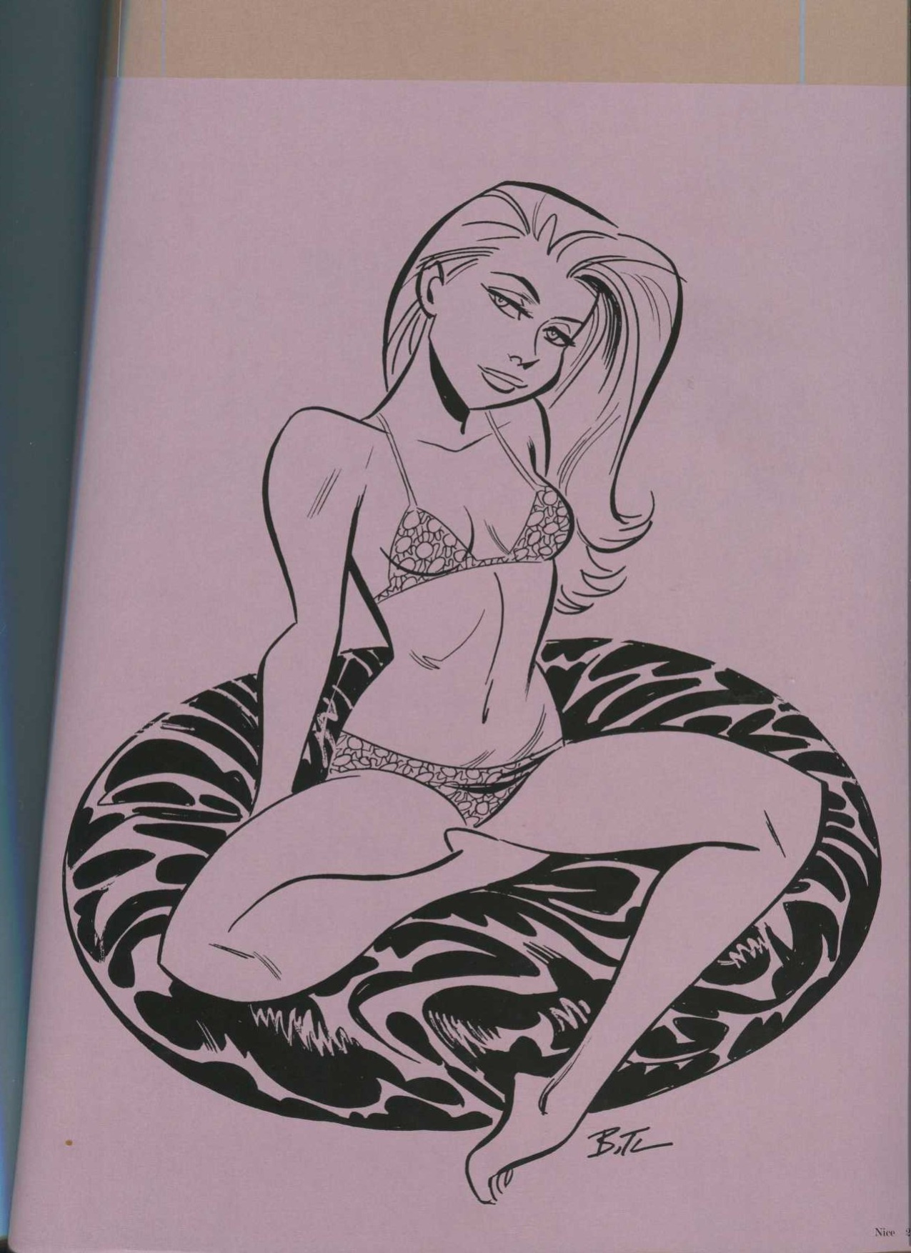 THe Good Girl Art of Bruce TIMM Naughty and nice