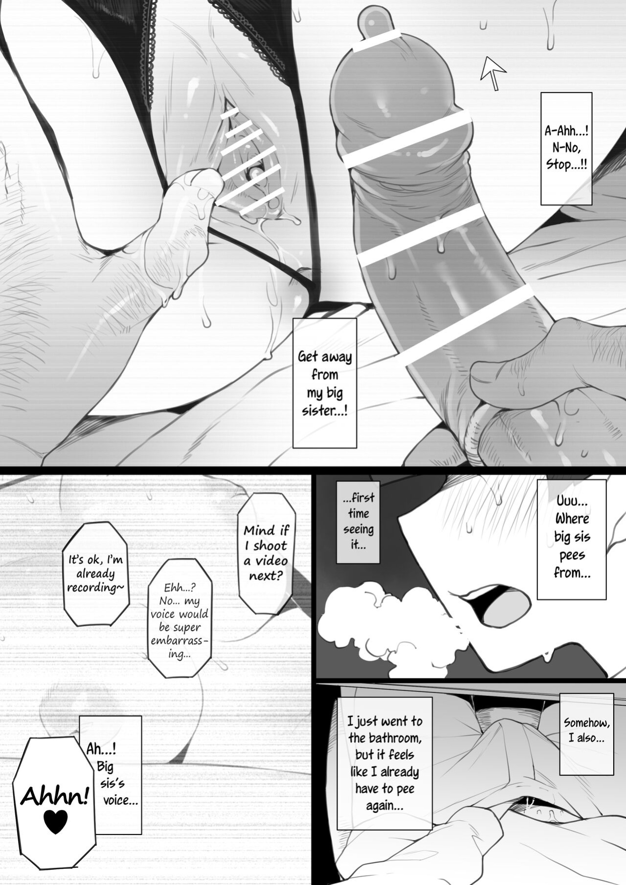 [Terasu MC] Daisuki na Onee-chan ni Karita Pasocon no Naka ni... | On the Laptop My Beloved Big Sister Lent Me…
