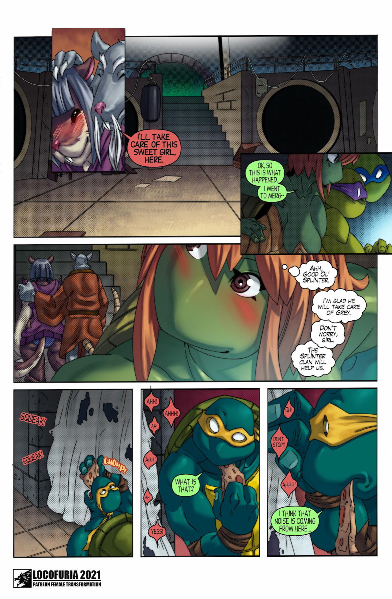 The Fifth Turtle