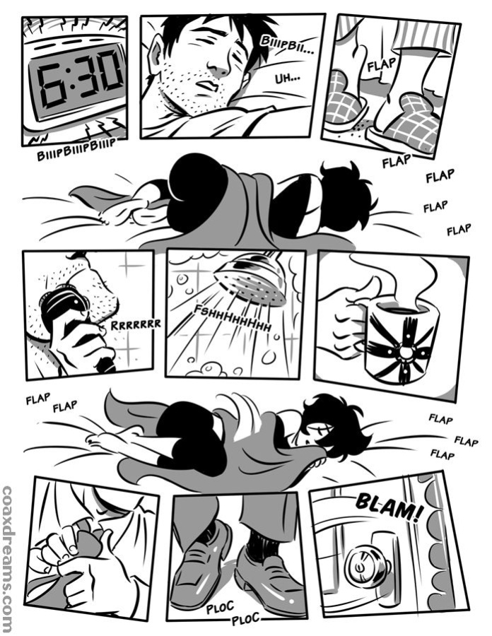 Another Pet's Story