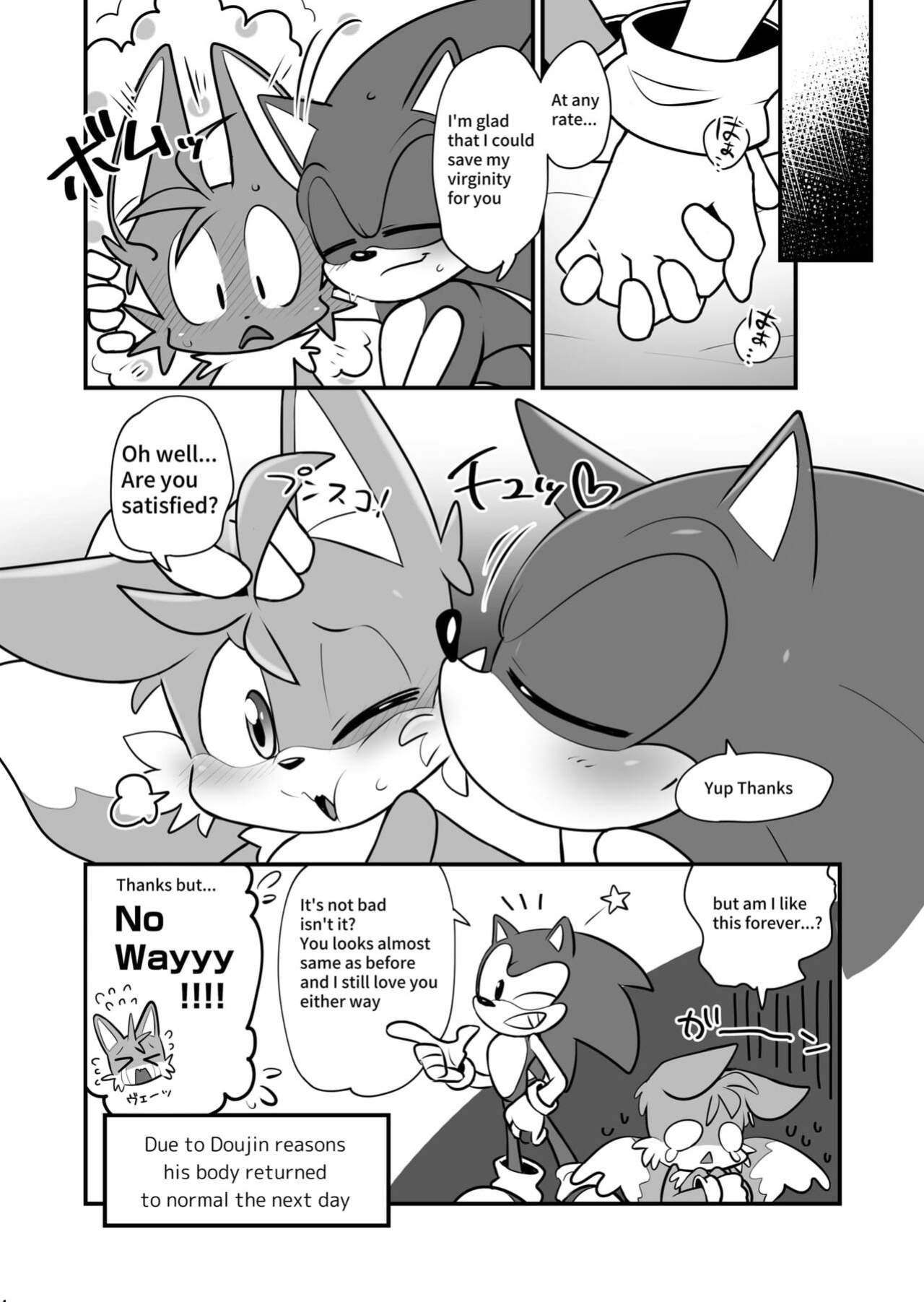 [hentaib] Tails and Sonic's special Fuss (Sonic the Hedgehog)