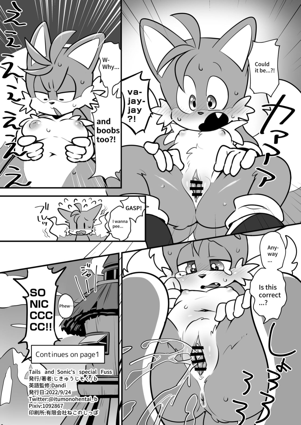 [hentaib] Tails and Sonic's special Fuss (Sonic the Hedgehog)