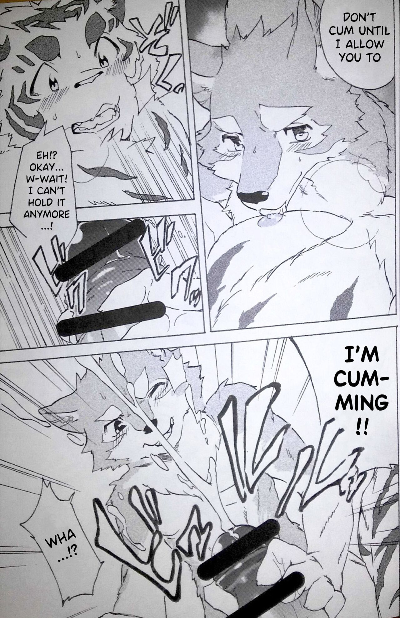 (Kemoket 5) [Heisei Radio Denki (Kibayashi Oji)] Gin Iro no Tetsu 2 | Silver Colored Iron 2 [Incorrigibal]