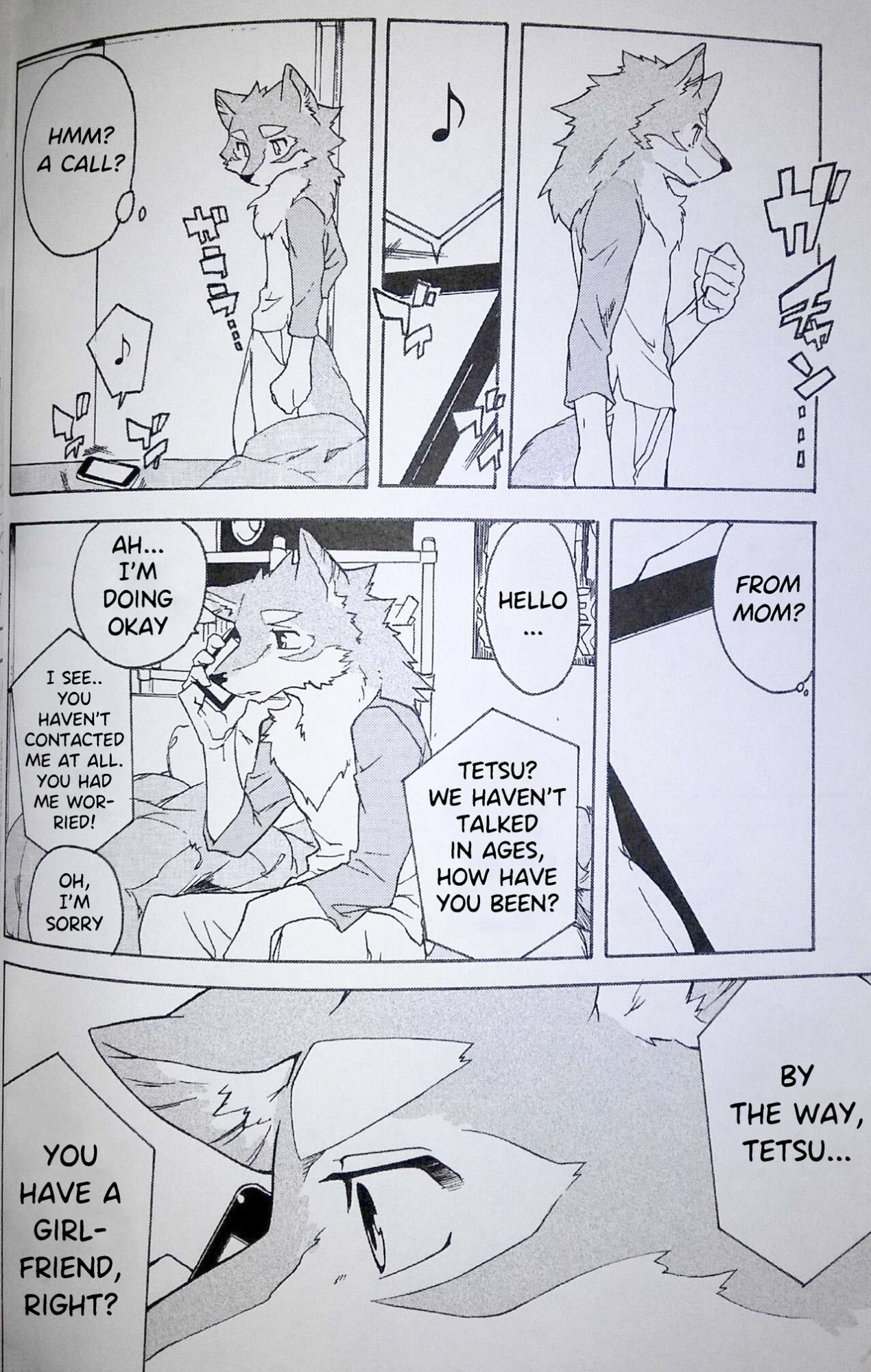 (Kemoket 5) [Heisei Radio Denki (Kibayashi Oji)] Gin Iro no Tetsu 2 | Silver Colored Iron 2 [Incorrigibal]