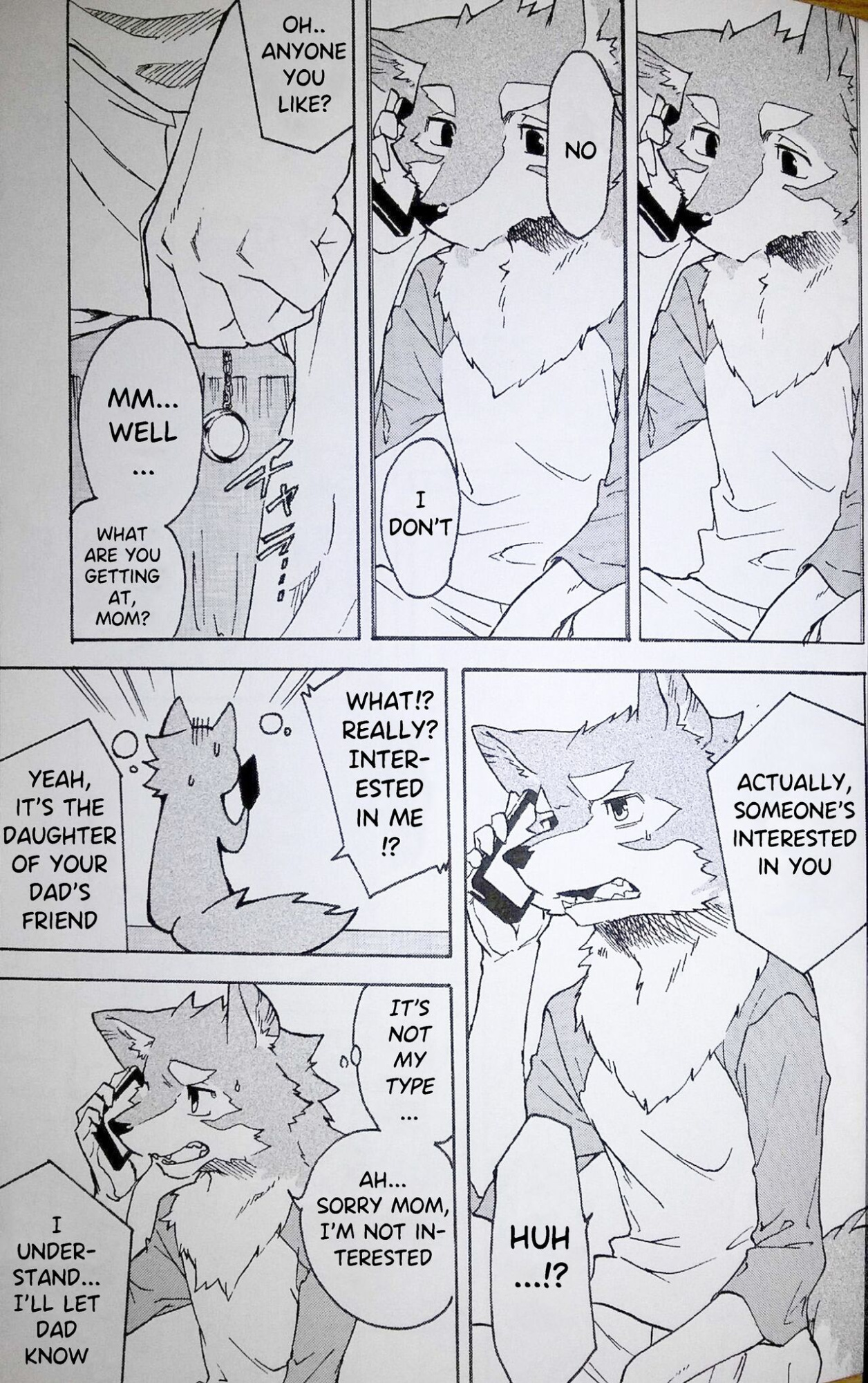 (Kemoket 5) [Heisei Radio Denki (Kibayashi Oji)] Gin Iro no Tetsu 2 | Silver Colored Iron 2 [Incorrigibal]
