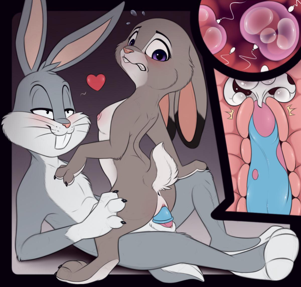 Impregnation & Pregnancy Images - (Various Artists)