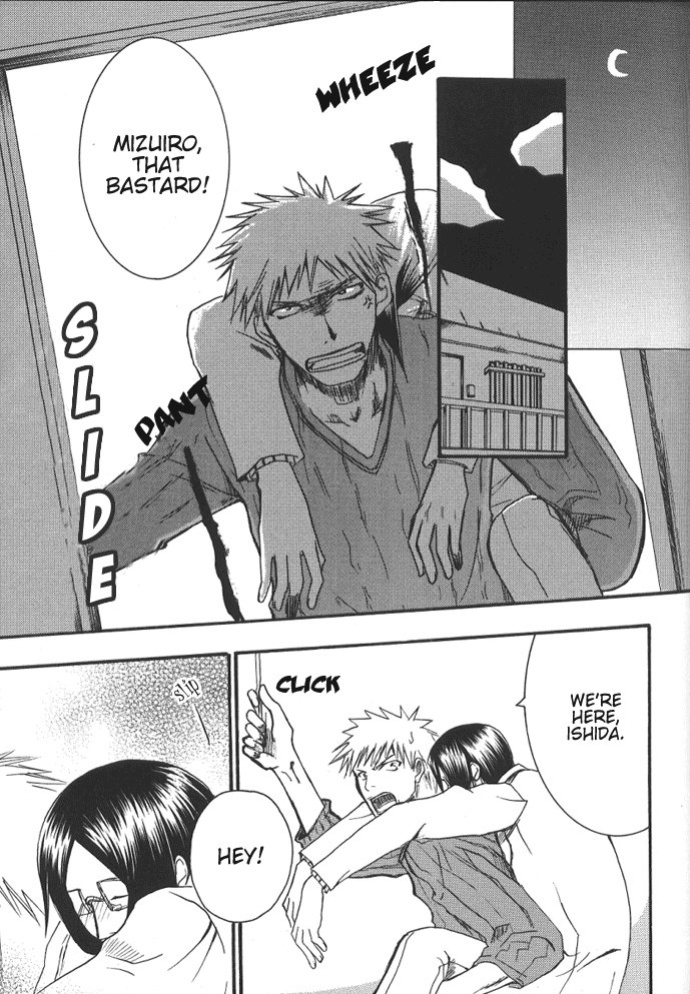 [NIKITA (Kira)] Road of the Family (Bleach) [Daphira]