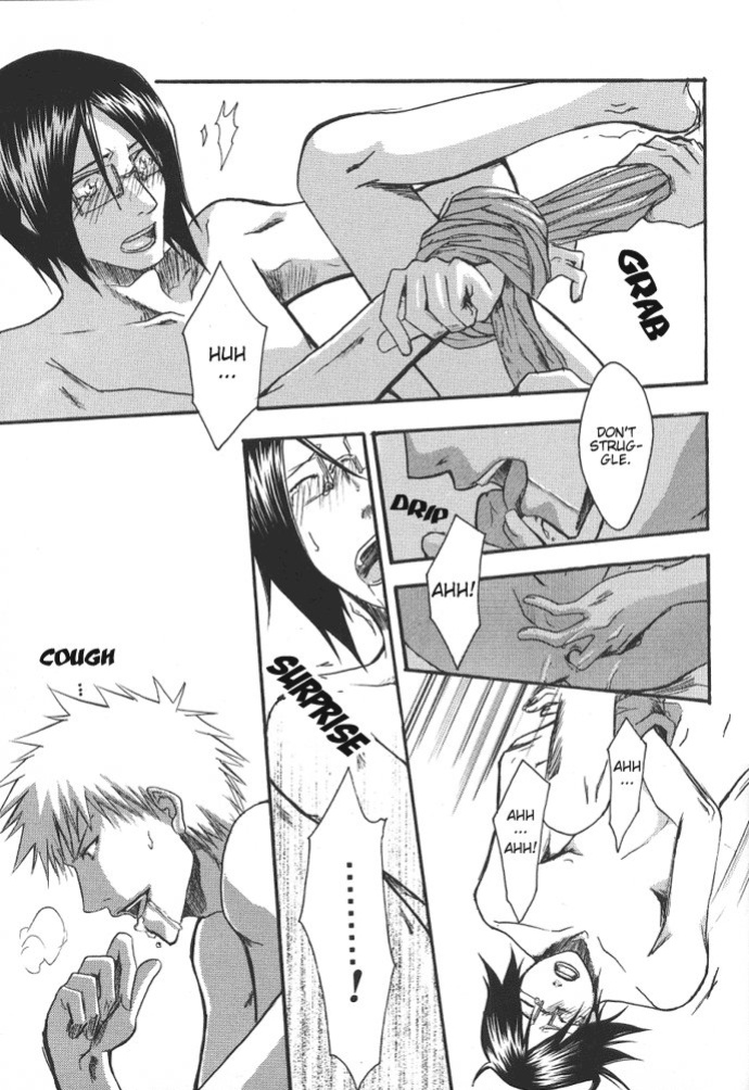 [NIKITA (Kira)] Road of the Family (Bleach) [Daphira]