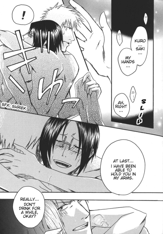 [NIKITA (Kira)] Road of the Family (Bleach) [Daphira]