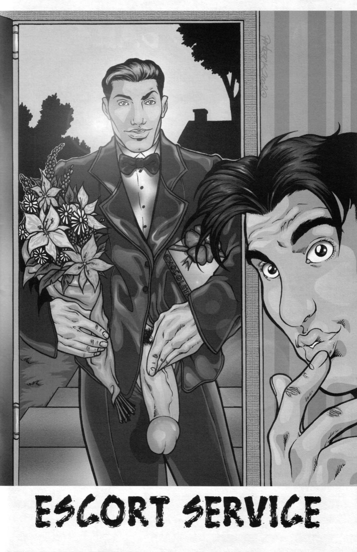 [Patrick Fillion] Boytoons. Book 2