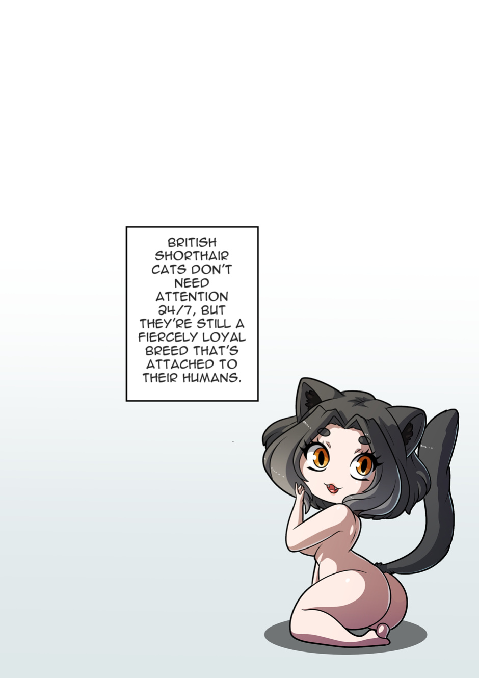 Feline Château