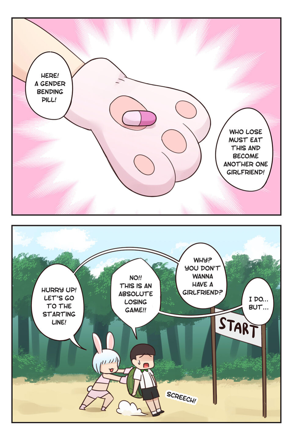 The Rabbit and The Turtle