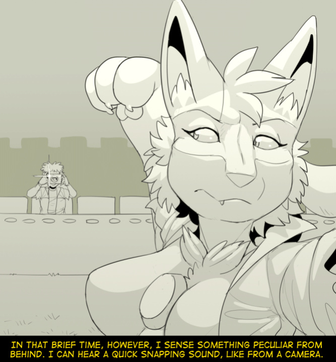 [Fidchell] Hildegard's Quest for Aura - Cinderace (14)