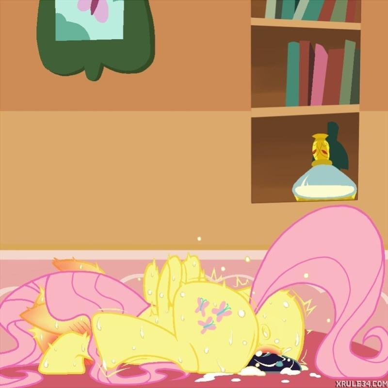 shy fluttershy