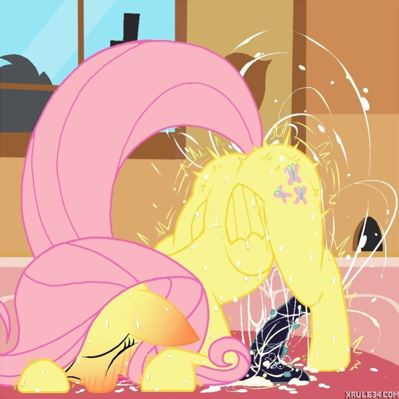 shy fluttershy