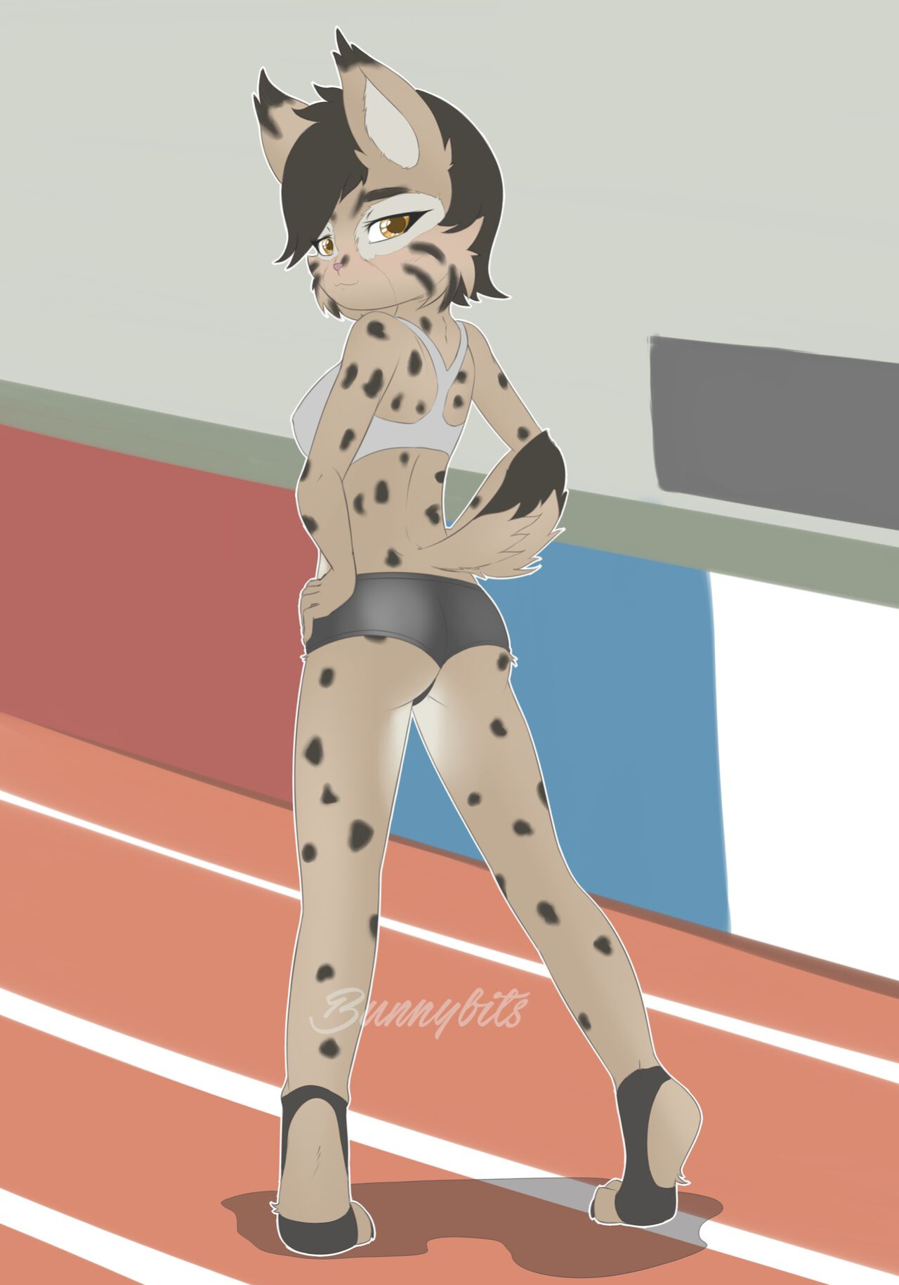 [Bunnybits] Collection from all places before the french busted it