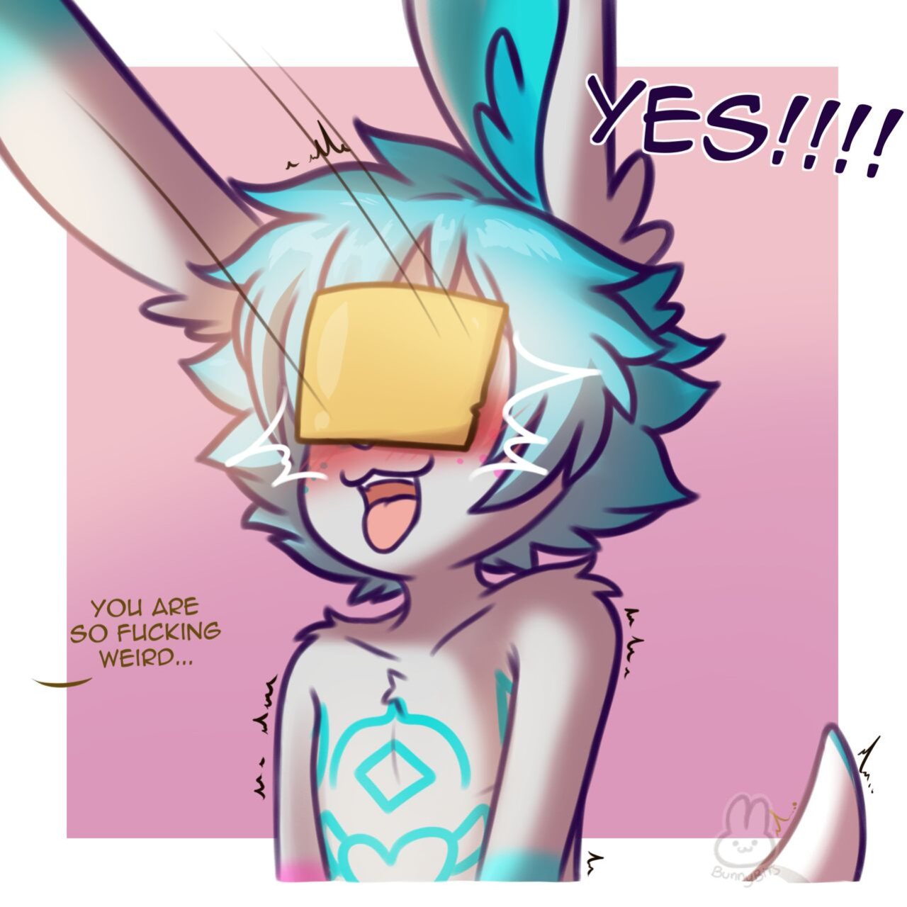 [Bunnybits] Collection from all places before the french busted it
