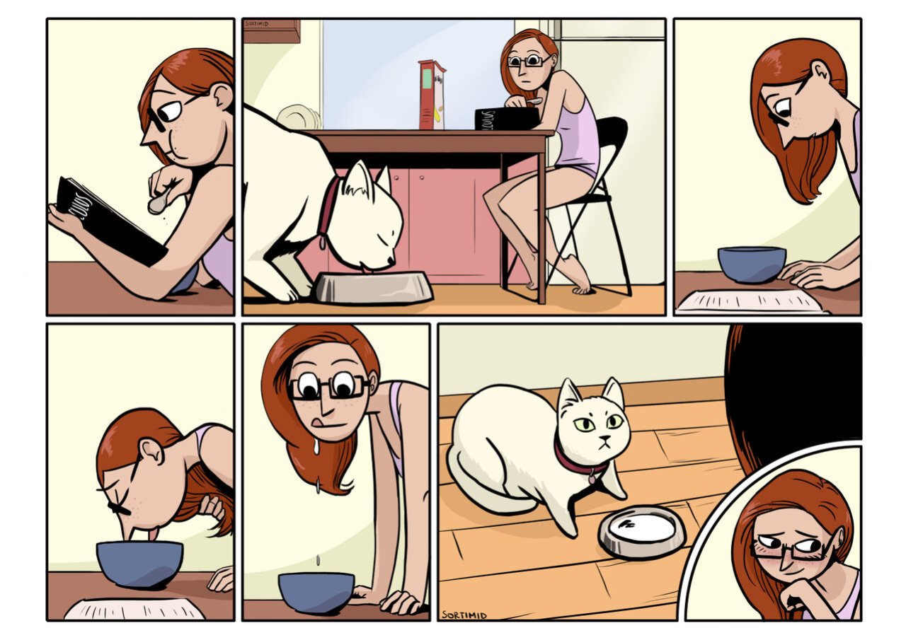 [Sortimid] Study Break