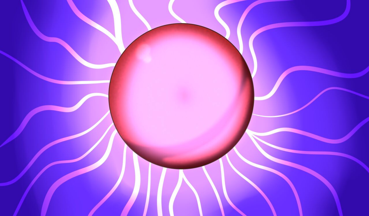 [Idpet]WHT Remake