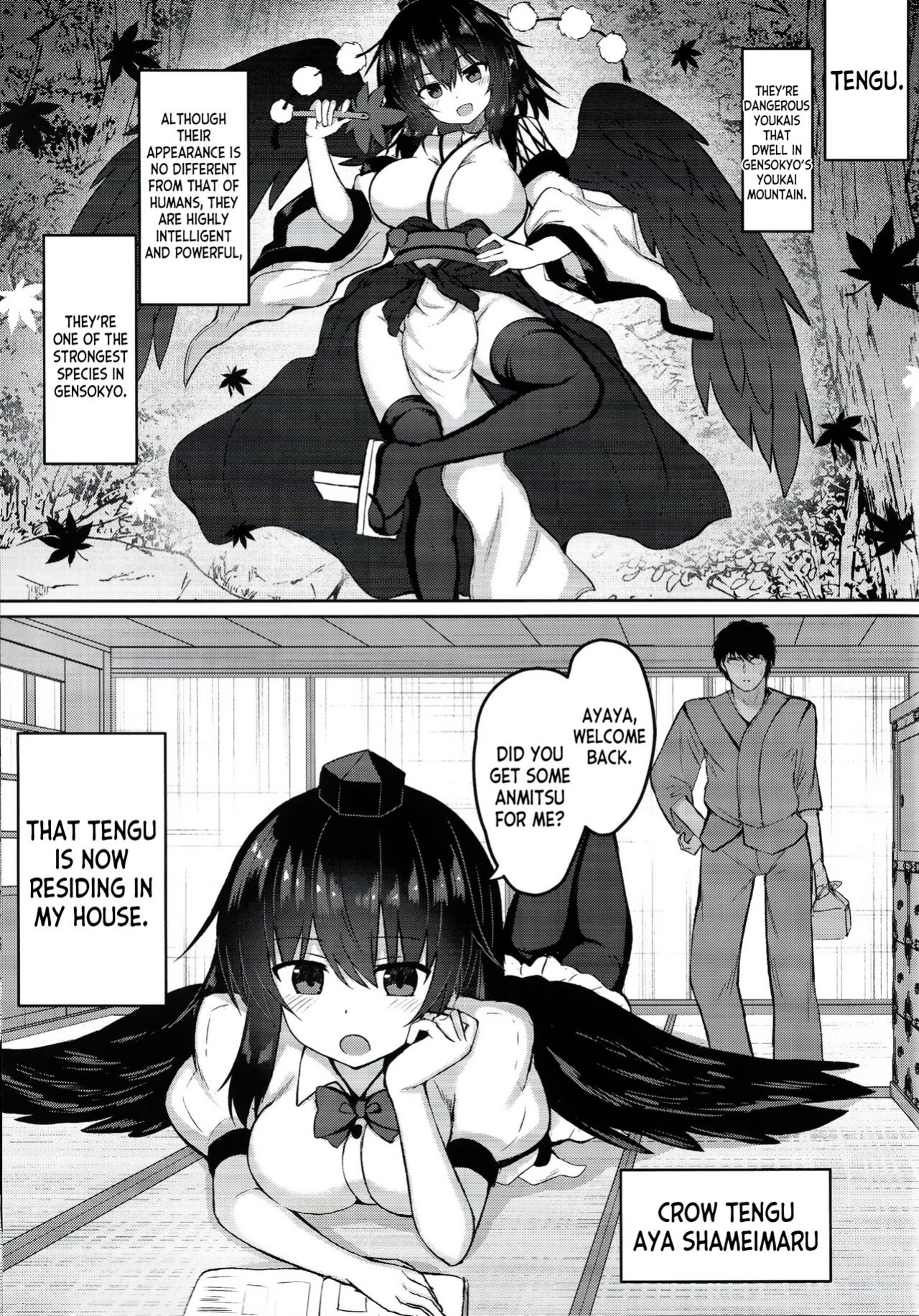 (C101) [tomikadou (tksand)] Tengu ga Ie ni Isuwatteru Ken (Touhou Project) [desudesu]
