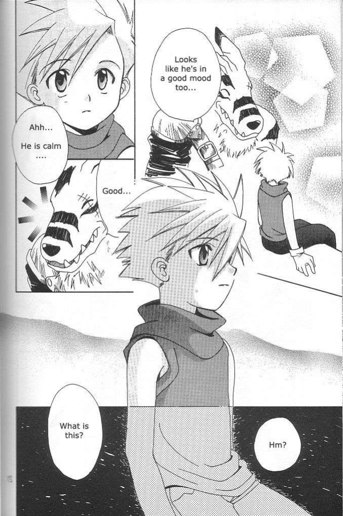 [WALPURGIS (Hazuki Aoi)] Star (Digimon Adventure)